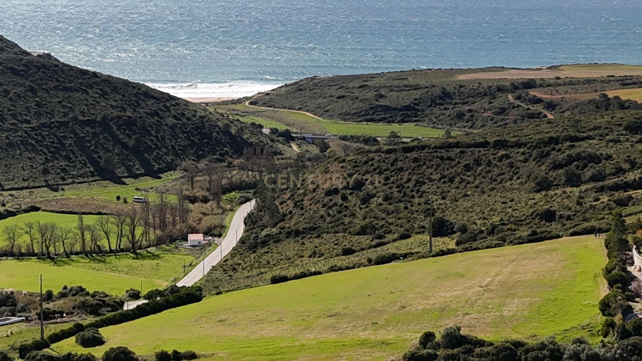 Terreno na Ericeira - Image 3